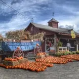 Apple Hill Farm photo