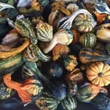 Apple Hill Farm photo
