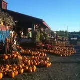 Apple Hill Farm photo