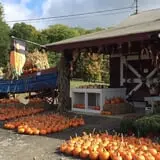 Apple Hill Farm photo
