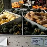 Apple Hill Farm photo