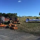 Apple Hill Farm photo