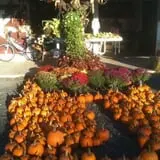 Apple Hill Farm photo