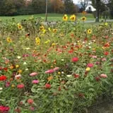 Apple Hill Farm photo