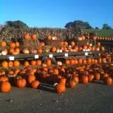 Apple Hill Farm photo