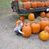 Apple Hill Farm photo
