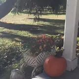 Apple Hill Farm photo