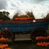 Apple Hill Farm photo