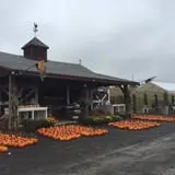Apple Hill Farm photo