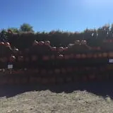 Apple Hill Farm photo