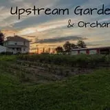 Upstream Gardens & Orchard photo