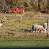 Pully's Farm Market photo