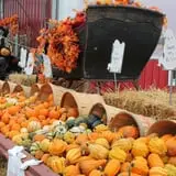 Pully's Farm Market photo