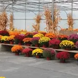 Pully's Farm Market photo