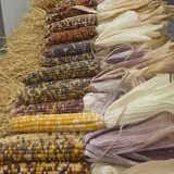 Pully's Farm Market photo