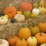 Pully's Farm Market photo