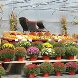 Pully's Farm Market photo