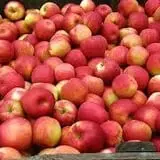 Pully's Farm Market photo