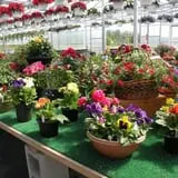 Pully's Farm Market photo