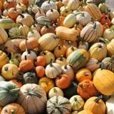 Pully's Farm Market photo