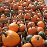 Pully's Farm Market photo