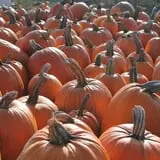 Pully's Farm Market photo