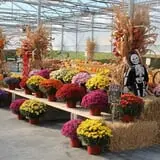 Pully's Farm Market photo
