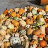 Pully's Farm Market photo