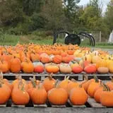 Pully's Farm Market photo