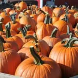 Pully's Farm Market photo