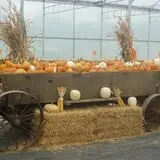 Pully's Farm Market photo