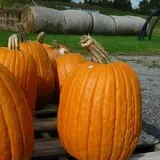 Pully's Farm Market photo