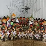 Pully's Farm Market photo