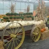Pully's Farm Market photo