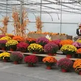 Pully's Farm Market photo