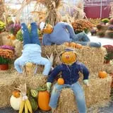 Pully's Farm Market photo