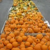 Pully's Farm Market photo