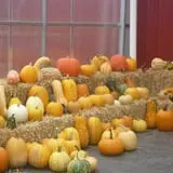 Pully's Farm Market photo