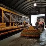The Pumpkin Patch At The Shore Line Trolley Museum photo