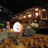 The Pumpkin Patch At The Shore Line Trolley Museum photo
