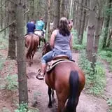 Dan Patch Stables Haunted Hayride & Haunted Hay Barn photo