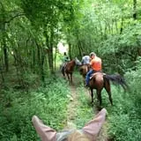 Dan Patch Stables Haunted Hayride & Haunted Hay Barn photo