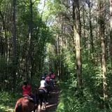 Dan Patch Stables Haunted Hayride & Haunted Hay Barn photo