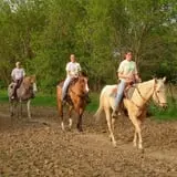 Dan Patch Stables Haunted Hayride & Haunted Hay Barn photo