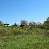 Dan Patch Stables Haunted Hayride & Haunted Hay Barn photo