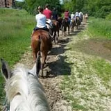 Dan Patch Stables Haunted Hayride & Haunted Hay Barn photo