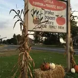 Cayuga Pumpkin Barn photo