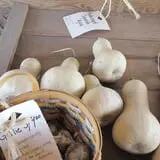 Cayuga Pumpkin Barn photo