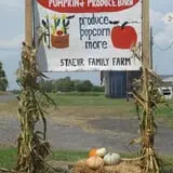 Cayuga Pumpkin Barn photo
