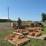 Cayuga Pumpkin Barn photo